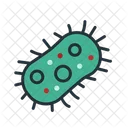 Bacteria Cell  Icon