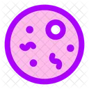 Bacteria  Icon