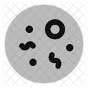 Bacteria Icon