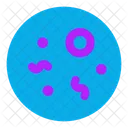 Bacteria  Icon