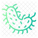 Bacteria Bacterium Biology Icon