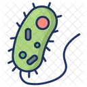 Bacteria  Icon