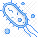 Bacteria  Icon