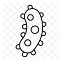 Bacteria  Icon