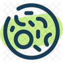 Bacteria Virus Infection Icon