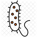 Bacteria  Icon