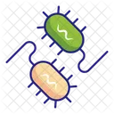 Bacteria  Icon