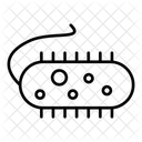 Bacteria  Icon