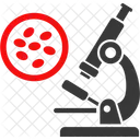 Bacteria  Icon
