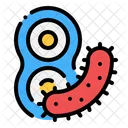 Bacteria  Icon