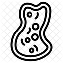 Bacteria  Icon