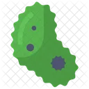 Bacteria  Icon