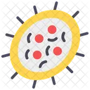 Bacteria  Icon