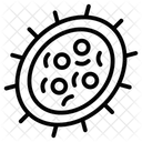 Bacteria  Icon