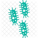 Bacteria  Icon