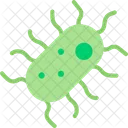 Bacteria  Icon