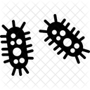 Bacteria  Icon