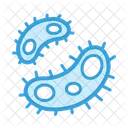 Bacteria  Icon