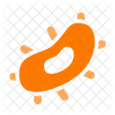 Bacteria  Icon