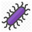 Bacteria  Icon