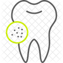 Bacteria  Icon