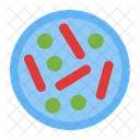 Bacteria  Icon