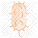 Bacteria  Icon