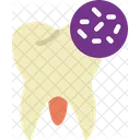 Bacteria In Teeth  Icon