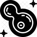 Bacteria In Teeth  Icon