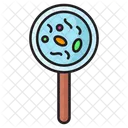 Bacteria Research Magnifying Glass Icon