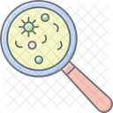 Bacteria Search Magnifier Icon