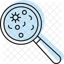 Bacteria Search Magnifier Icon