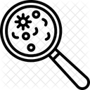 Bacteria Search Magnifier Icon
