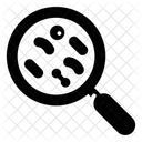 Bacteria Search Virus Finding Disease Icon
