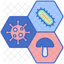 Bacteria Species  Icon