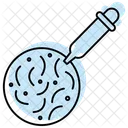 Bacteria-testing  Icon