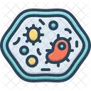 Bacterial  Icon