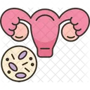 Bacterial Vaginosis Infection Icon