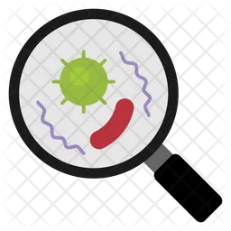 Bacterial magnify  Icon