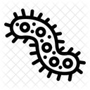 Bacterial Pathogen  Icon
