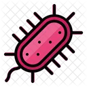 Bacterias  Icono