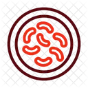Bacterias Immunity Viruses Icon