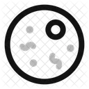 Bacterias Ícone