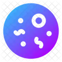 Bacterias Ícone