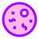Bacterias Ícone