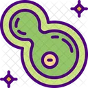 Bacterias  Icono