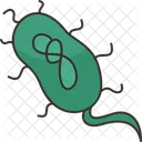 Bactérias  Ícone