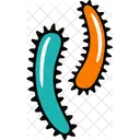 Bactérias  Ícone