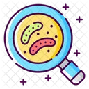 Bacteriology  Icon