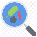 Bacterium Magnifier Microorganism Icon